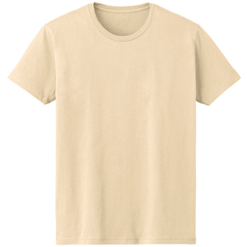 DM501 ファインフィットTシャツ 4.6oz